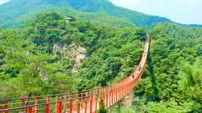 Desde Seúl: DMZ Excursión al 3er Túnel y Puente Colgante