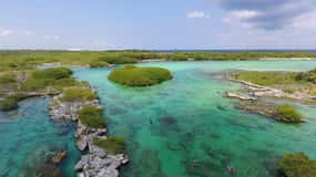 Yalku Lagoon & Cenote Express (met vervoer)
