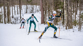 Lake Tahoe: Guided Cross Country Skiing Tour