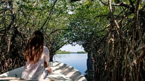 Au départ de Kalutara : Safari exclusif sur la rivière Madu et l'écloserie de tortues