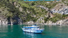 Ischia: Boat tour with swimming stops and lunch on board