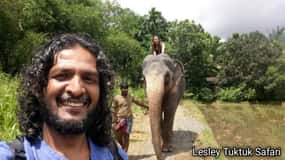 From Kandy: Pinnawala Elephant Orphanage Day Trip