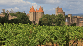 Barcelona: Carcassonne & Girona Tour