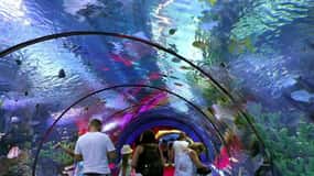 Fra Antalya, Side og Alanya: Antalya Aquarium Transfer