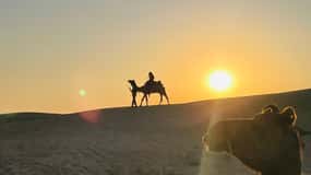 Half Day Camel Safari Sunset with Dinner by Wanderlust