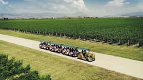 The largest winery in Montenegro: private tour & transport