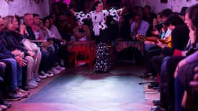 Espetáculo de Flamenco: Zambra em Cuevas del Sacromonte