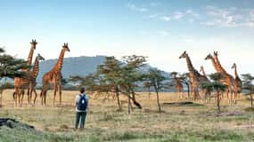 Arusha National Park Day Tour with All-Inclusive