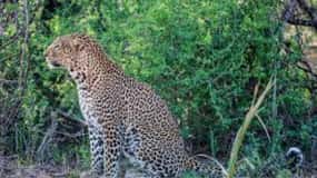 Overnight Private Safari to Severin Camp from Mombasa