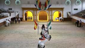 From Seville: Tour of Jerez with Horse Show & Wine Tasting