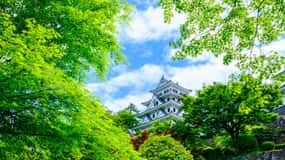 名古屋発：郡上・飛騨高山・白川郷 日帰りツアー