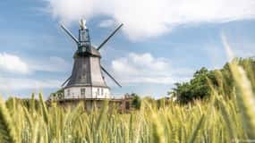 Nordstrand: gita di un giorno in barca a Föhr