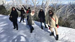 Från Melbourne: Mt Buller Snow Day Small Group Boutique Tour
