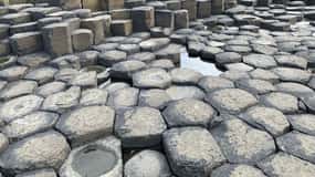 Tour di mezza giornata delle Giant's Causeway con partenza da Belfast