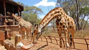 Nairobi: National Park, Elephant Orphanage & Giraffe Center
