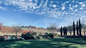 Adelaide Hills Tour
