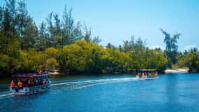 Watamu: Marine Park Snorkeling and Dolphin Spotting Tour