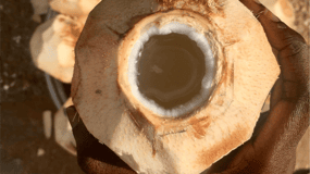 Accra Central: Street Food Walking Tour with Akosua Serwaa