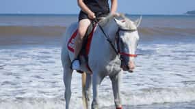 Bali: Horse Riding Experience in Sanur (1 Hour ride)