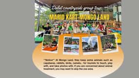 Dalat: Mario Kart - Mongo Land - Campiña Grupo reducido