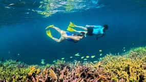 Hidden Gili's Lombok Snorkeling Daily Tour