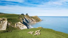 Christchurch: Exclusive Sheep Farm Tour with Lunch &Winery