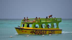 Tobago: Glass Bottom Boat & Highlights Tour