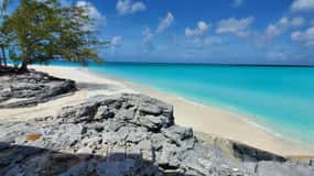 Unforgettable Land Tour on Long Island Bahamas