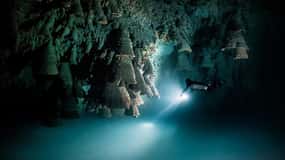 Playa del Carmen: Ontdek de surrealistische wereld van Cenote duiken