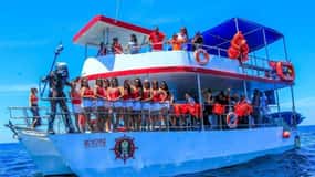 Puerto Vallarta : Le prédateur de la mer
