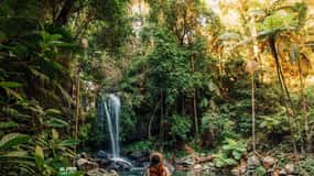 From the Gold Coast Hop on Hop off Bus to Tamborine Mountain