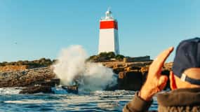 Hobart : Croisière de 2,5 heures au phare d'Iron Pot