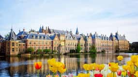 Rotterdam, Hague & Delft Private Tour from Amsterdam by Car