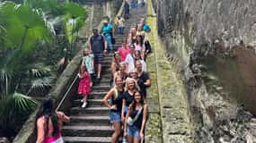 Customizable half day group tour (price per vehicle)