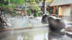 Tokyo: Hakone's Best Hot Springs & Scenic Lake Ashi Cruise