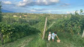 Prosecco: Vin- og madfest i familie-osteria