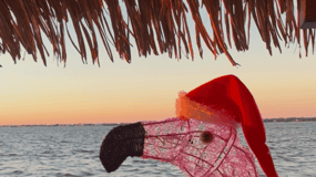 Punta Gorda, Florida: Family-friendly activities