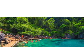 Coron: Reef & East Tangat Wrecks Tour with Lunch