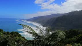 Da Greymouth: Tour di un giorno sulla costa occidentale