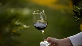Visit two wineries Familia Dardanelli and Angel Fallabrino