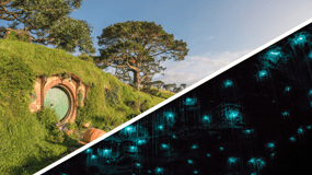 From Auckland: Hobbiton and Waitomo Caves Small Group Tour