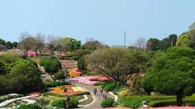 Nokonoshima Island Park: Garden Tour & Wagyu BBQ Lunch