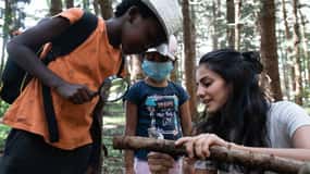 Karura Forest Guided Walking Tour in Nairobi.