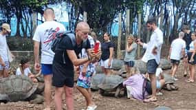 Mombasa:City Sightseeing Walking Tour With Haller Park Visit