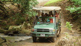 Mauritius: äventyr med 4x4-safari i naturreservatet Bel Ombre