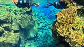 From Reykjavík: Silfra Snorkeling with free photos