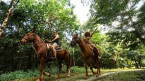 Riviera Maya: Paseo a Caballo, Tirolina y Aventura en quad