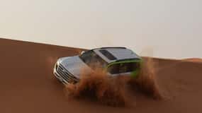 Dubai: Safari pe dunele roșii, quad, plimbare cu cămila, cină cu grătar