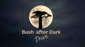 Victoria Falls Park : Stargazing and Bush by Night Drive