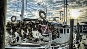 Tarpon Springs: Sponge Dock Stroll